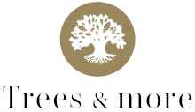 Trees And More Logo